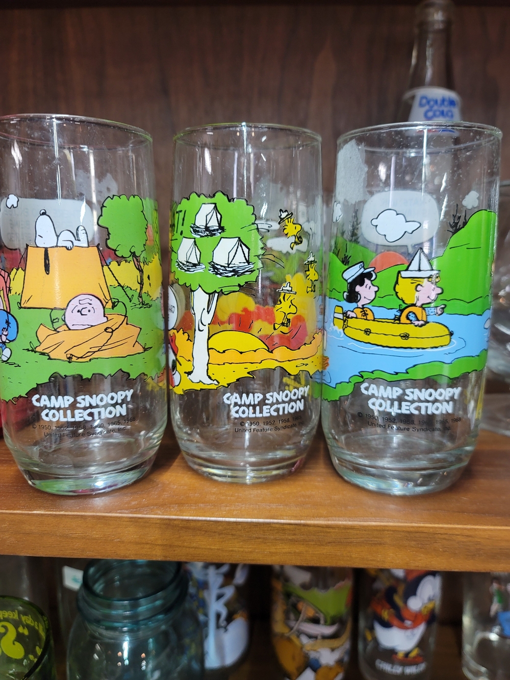 Camp Snoopy Collection Glass - Multicolor Peanuts Camping Design
